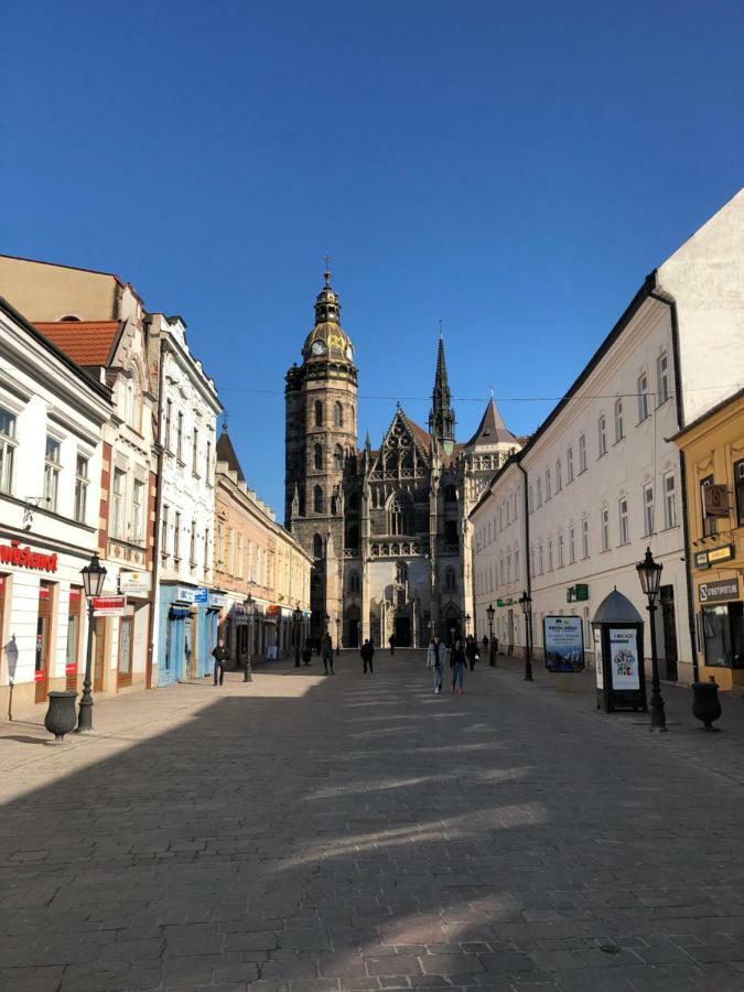 Old Town Apartment Podtatranskeho Košice Eksteriør billede