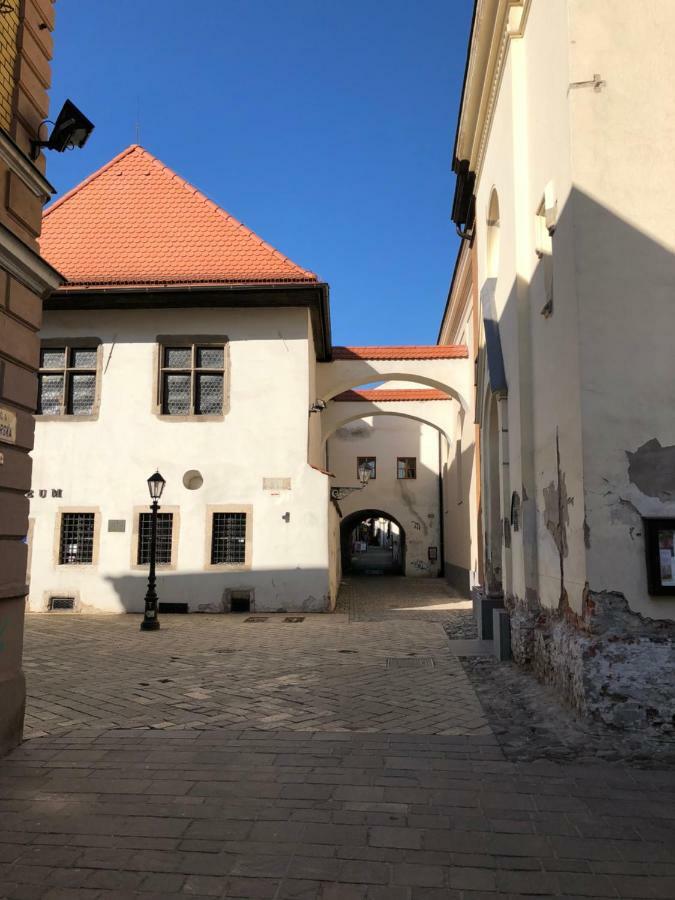 Old Town Apartment Podtatranskeho Košice Eksteriør billede