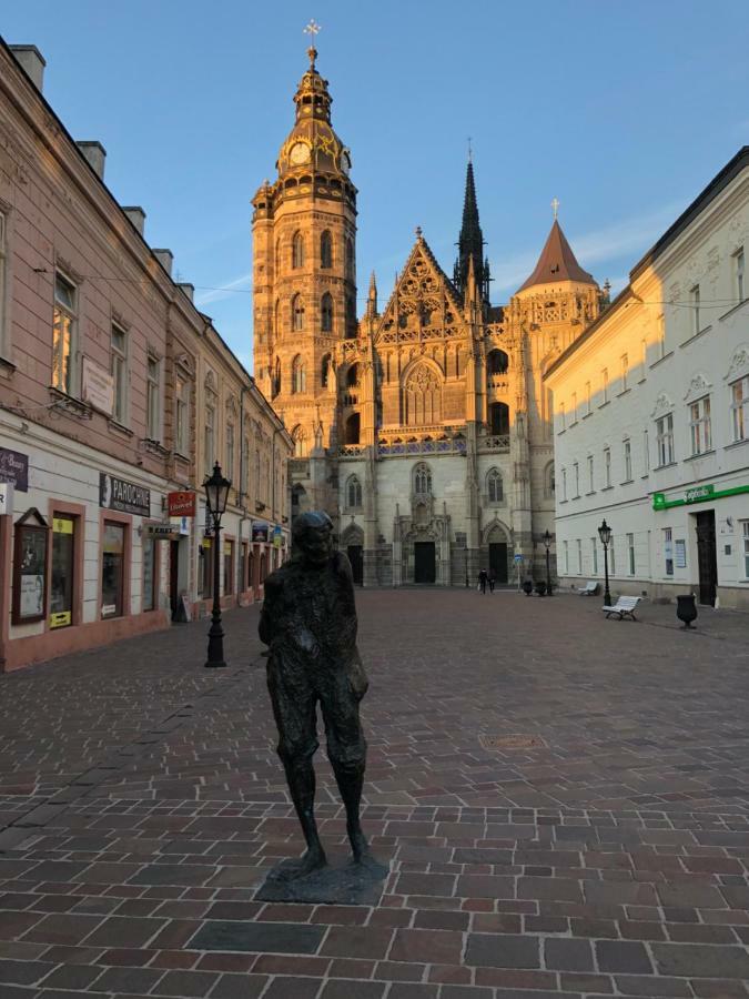 Old Town Apartment Podtatranskeho Košice Eksteriør billede