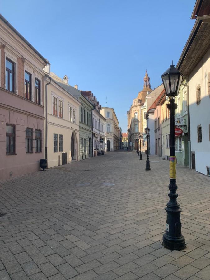 Old Town Apartment Podtatranskeho Košice Eksteriør billede